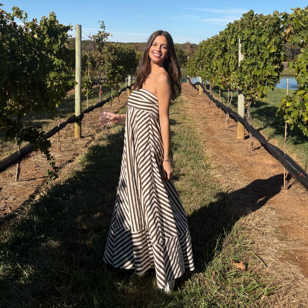 Petal & Pup Strapless Striped Maxi Dress - Picture 3 of 3